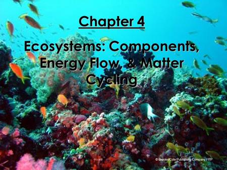 Ecosystems: Components, Energy Flow, & Matter Cycling