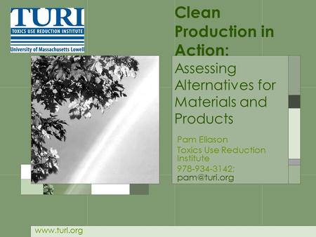 Clean Production in Action: Assessing Alternatives for Materials and Products Pam Eliason Toxics Use Reduction Institute 978-934-3142;