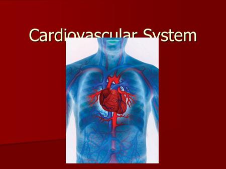 Cardiovascular System. Vocabulary: 324 1. brady- 1. brady- 2. diastol- 2. diastol- 3. systol- 3. systol- 4. tachy- 4. tachy- 5. ventr- 5. ventr- 6. embol-