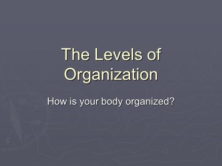 The Levels of Organization