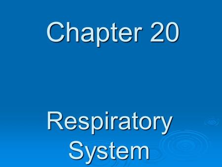Chapter 20 Respiratory System. Respiratory System - Function  To provide a constant supply of Oxygen and the removal of Carbon Dioxide.  Also aids in.