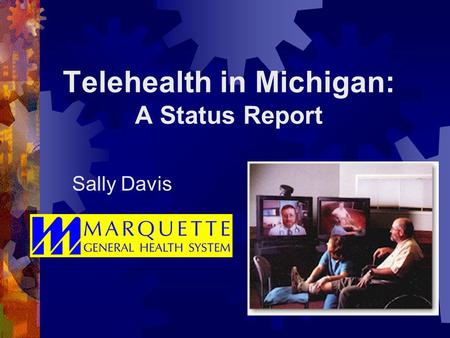 Telehealth in Michigan: A Status Report Sally Davis.
