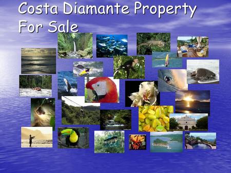 Costa Diamante Property For Sale. Property Overview Costa Palmera Residential Community is currently under development by RCJ Tambor, Ltda. on 102 H (252.