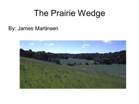 The Prairie Wedge By: James Martinsen. Introduction The Prairie Peninsula is a wedge of prairie that extends from western Iowa to western Indiana. Which.