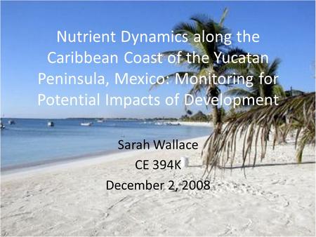 Nutrient Dynamics along the Caribbean Coast of the Yucatan Peninsula, Mexico: Monitoring for Potential Impacts of Development Sarah Wallace CE 394K December.