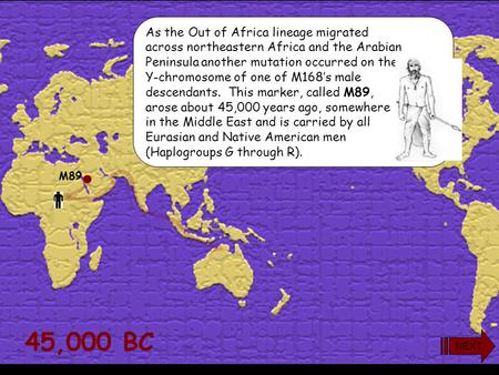 45,000 BC M89 As the Out of Africa lineage migrated across northeastern Africa and the Arabian Peninsula another mutation occurred on the Y-chromosome.
