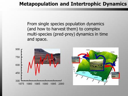 Metapopulation and Intertrophic Dynamics From single species population dynamics (and how to harvest them) to complex multi-species (pred-prey) dynamics.