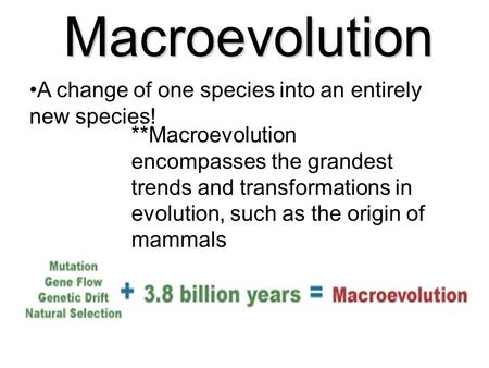 Macroevolution A change of one species into an entirely new species!