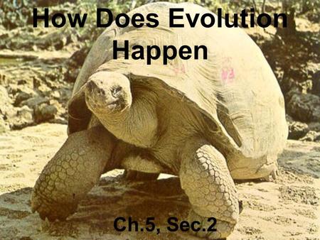 How Does Evolution Happen Ch.5, Sec.2. Charles Darwin.