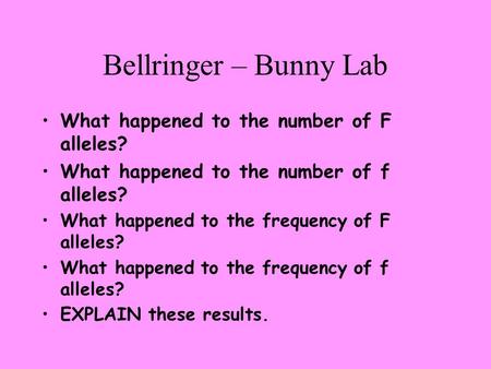 Bellringer – Bunny Lab What happened to the number of F alleles? What happened to the number of f alleles? What happened to the frequency of F alleles?