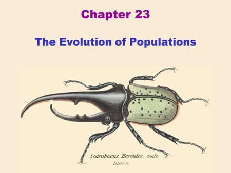 Chapter 23 The Evolution of Populations. Western Historical Context Gregor Mendel (1822-1884) Austrian monk whose breeding experiments with peas shed.