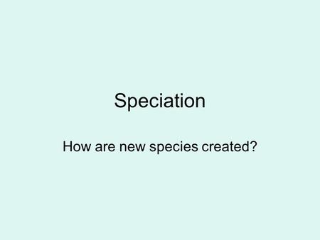How are new species created?