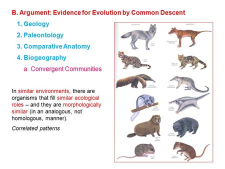 B. Argument: Evidence for Evolution by Common Descent 1. Geology 2. Paleontology 3. Comparative Anatomy 4. Biogeography a. Convergent Communities In similar.