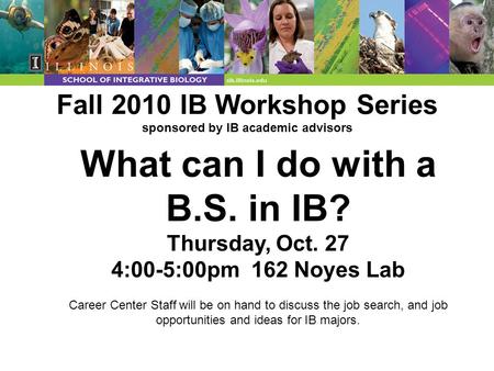 Fall 2010 IB Workshop Series sponsored by IB academic advisors What can I do with a B.S. in IB? Thursday, Oct. 27 4:00-5:00pm 162 Noyes Lab Career Center.