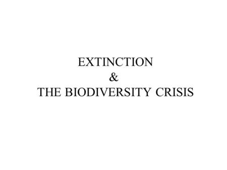 EXTINCTION & THE BIODIVERSITY CRISIS. Biodiversity: All the variety of life, at every level of organization... Genetic diversity Species diversity Ecosystem.