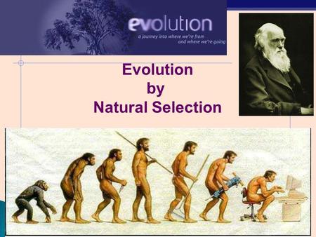 Evolution by Natural Selection.