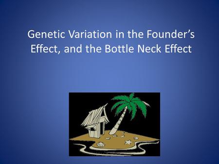 Genetic Variation in the Founder’s Effect, and the Bottle Neck Effect.