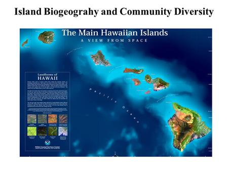 Island Biogeograhy and Community Diversity. Islands differ in species number HawaiiA somewhat smaller island Much of this variation is explained solely.