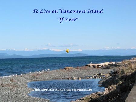 To Live on Vancouver Island “If Ever ” Slide show starts and stops automatically.