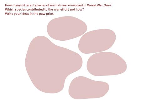 How many different species of animals were involved in World War One? Which species contributed to the war effort and how? Write your ideas in the paw.