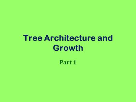 Tree Architecture and Growth Part 1. Apical Growth Apical meristem = bud –Primary growth Preformed Indeterminant or sustained.