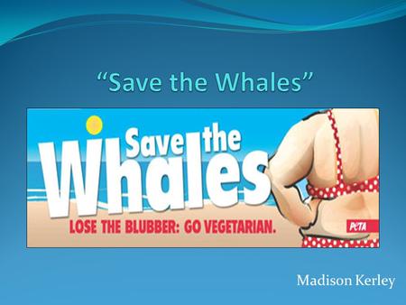 Madison Kerley. Background Information This advertisement was revealed on The PETA Files (PETA’s blog) on August 17, 2009, and it was put up in Jacksonville,