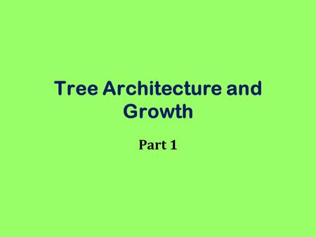 Tree Architecture and Growth Part 1. Apical Growth Apical meristem = bud –Primary growth Preformed Indeterminant or sustained.