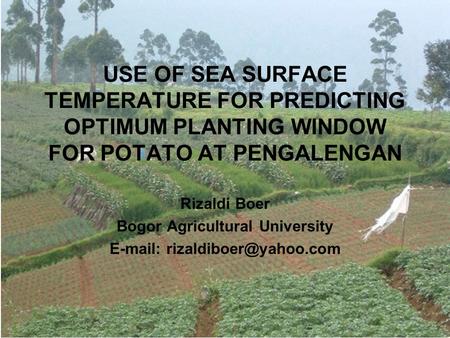 USE OF SEA SURFACE TEMPERATURE FOR PREDICTING OPTIMUM PLANTING WINDOW FOR POTATO AT PENGALENGAN Rizaldi Boer Bogor Agricultural University