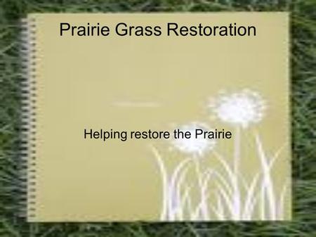 Prairie Grass Restoration Helping restore the Prairie.
