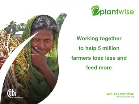 LOSE LESS, FEED MORE www.plantwise.org Working together to help 5 million farmers lose less and feed more.
