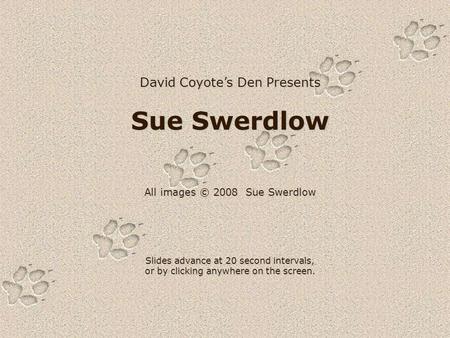 David Coyote’s Den Presents Sue Swerdlow All images © 2008 Sue Swerdlow Slides advance at 20 second intervals, or by clicking anywhere on the screen.
