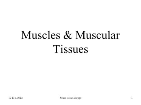 Muscles & Muscular Tissues 12 Feb. 2013Musc-tissue-lab.ppt1.