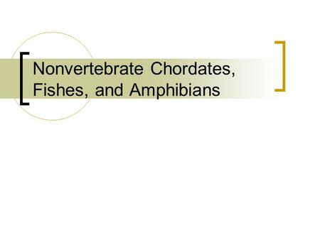 Nonvertebrate Chordates, Fishes, and Amphibians. What Is a Chordate? Members of the phylum Chordata are called chordates. A chordate is an animal that.