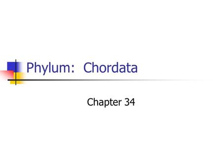 Phylum: Chordata Chapter 34.