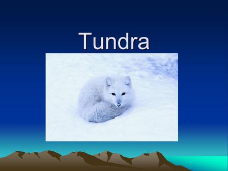Tundra. caribou To keep the heat in, caribou have two layers of fur covering their bodies. They have a fine crinkly under-fur and a thick coat of guard.