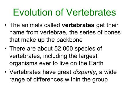 Evolution of Vertebrates