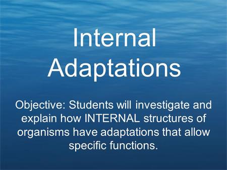 Internal Adaptations Objective: Students will investigate and explain how INTERNAL structures of organisms have adaptations that allow specific functions.