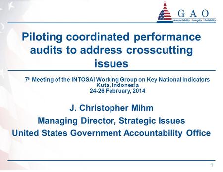 PRELIMINARY Piloting coordinated performance audits to address crosscutting issues J. Christopher Mihm Managing Director, Strategic Issues United States.