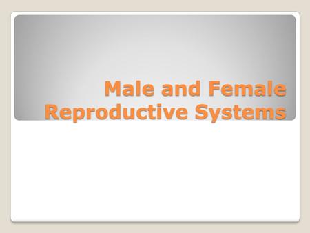 Male and Female Reproductive Systems. Female Reproductive System #1 – Fallopian Tube-egg gets fertilized by sperm #2 – Ovaries-produces egg cell, size.