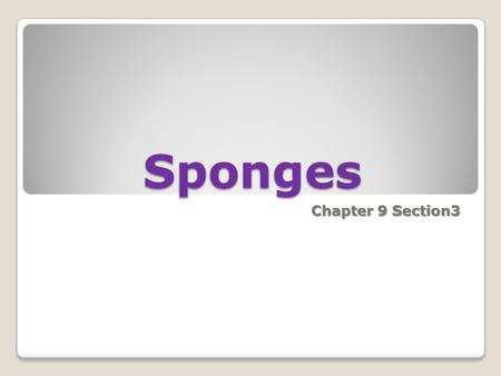 Sponges Chapter 9 Section3.