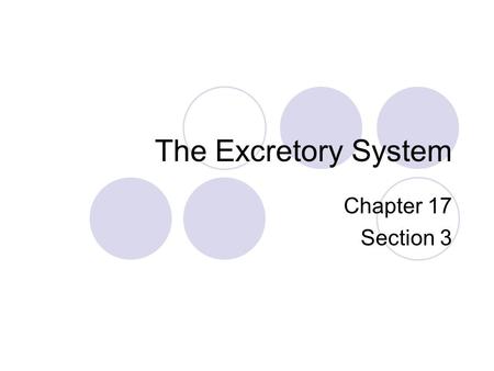The Excretory System Chapter 17 Section 3.