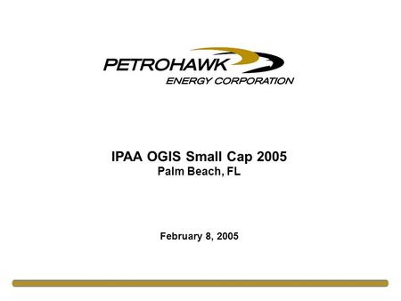 IPAA OGIS Small Cap 2005 Palm Beach, FL February 8, 2005.