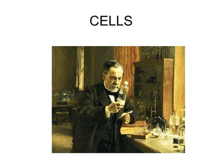 CELLS …a sense of scale….. Single-cellular Organism Made of just one cell.