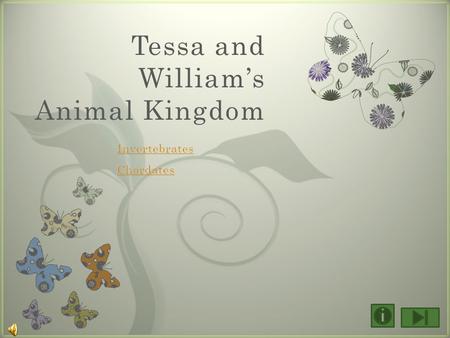 7 Tessa and William’s Animal Kingdom Invertebrates Sponges Cnidarians flatworms Roundworms Segmented worms Arthropods Mollusks Echinoderms chordates.