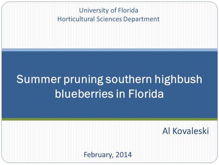 Al Kovaleski February, 2014 Summer pruning southern highbush blueberries in Florida University of Florida Horticultural Sciences Department.