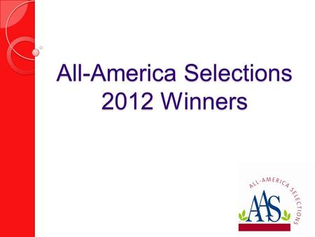 All-America Selections 2012 Winners. Ornamental Pepper ‘Black Olive’ AAS Flower Winner.