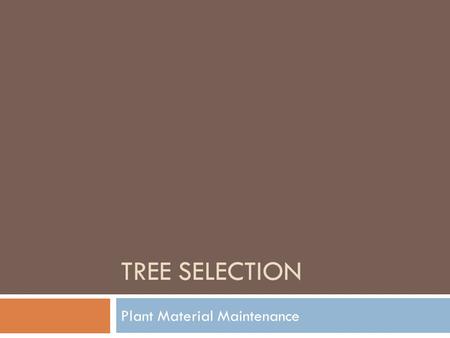 TREE SELECTION Plant Material Maintenance. Why Trees?  Sequester carbon  Create ecosystems  Make oxygen  Create shade  Filter pollutants  Reduce.