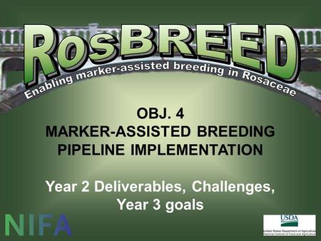 OBJ. 4 MARKER-ASSISTED BREEDING PIPELINE IMPLEMENTATION Year 2 Deliverables, Challenges, Year 3 goals.