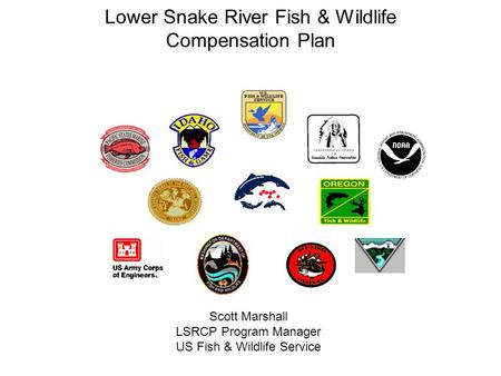 Lower Snake River Fish & Wildlife Compensation Plan Scott Marshall LSRCP Program Manager US Fish & Wildlife Service.