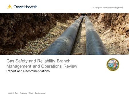 The Unique Alternative to the Big Four ® Gas Safety and Reliability Branch Management and Operations Review Report and Recommendations.